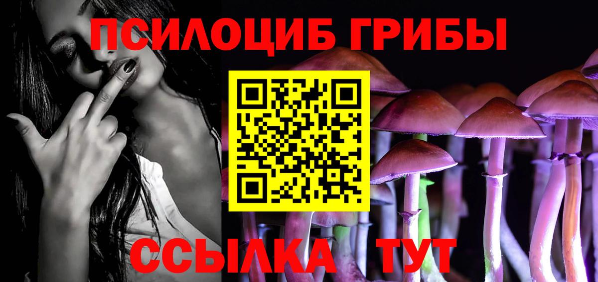 Псилоцибиновые грибы ЛСД Гусев
